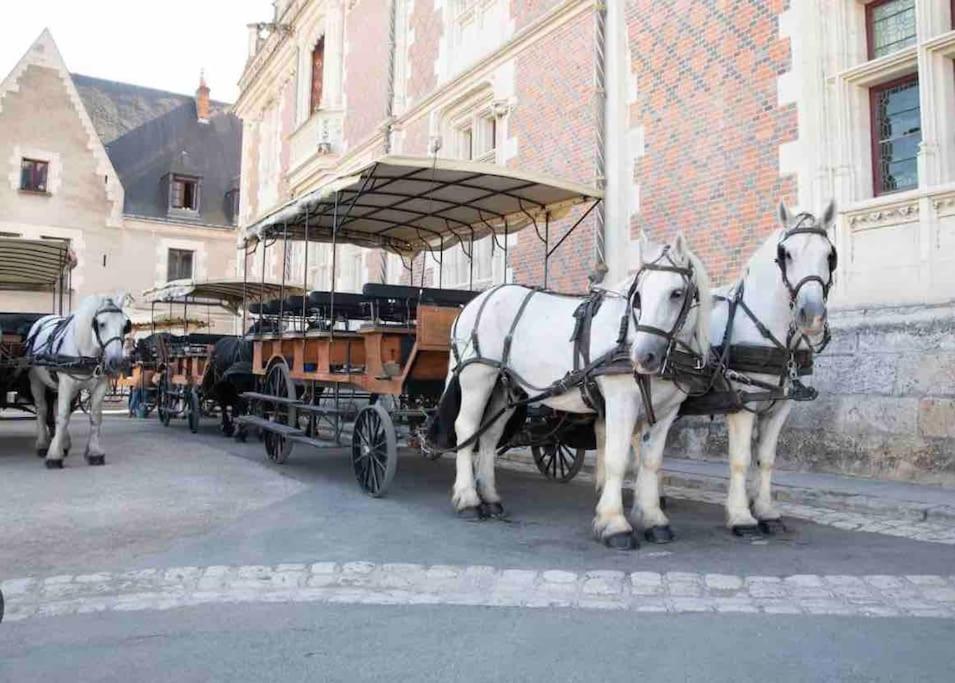 Petite Maison Avec Clim Blois Exterior photo